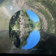 pinponpandaの画像