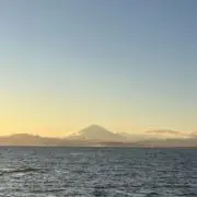 シューイチ❗