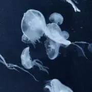 мの画像