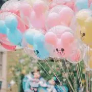 １７の画像