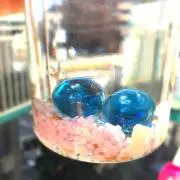 れいちょんの画像