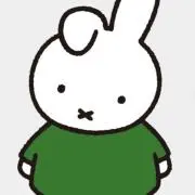 ダーンの断捨離の画像