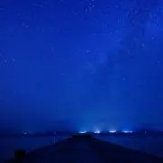 トミの画像