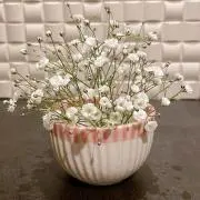 ゆず