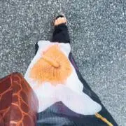 服好きさん