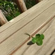 まぁみ*⑅୨୧◡̈