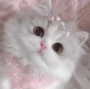 ♡の画像