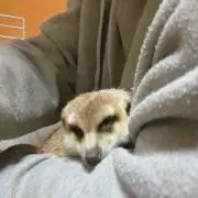 りょう