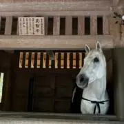 アシリパ✨フチ