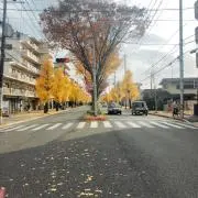 チャーリーの画像
