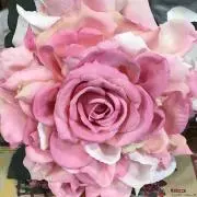 そらそらこの画像