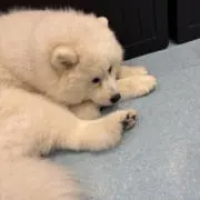 絢の画像