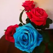 Happy Jinの画像
