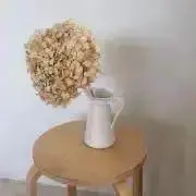 Hyggeの画像