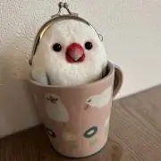 ぴもの画像