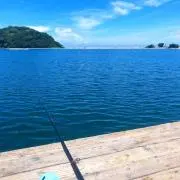 Mirの画像