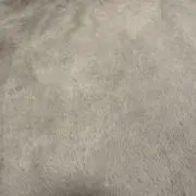 Fの画像