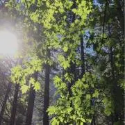 あきの画像