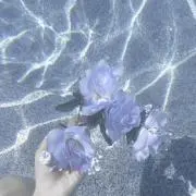 ななの画像