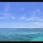 ~dream~の画像