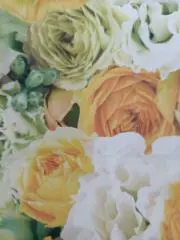 Sabo☆Saboの画像