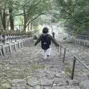 madream★の画像