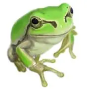 あべひろ