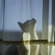ノリたま