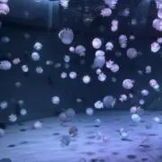 ちゃいなの画像
