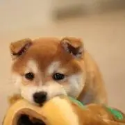 Mの画像