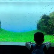 ハリー✴︎の画像