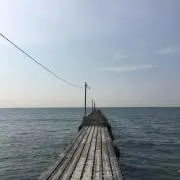 ゆ