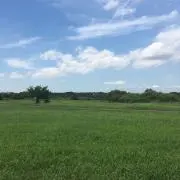 ニコル