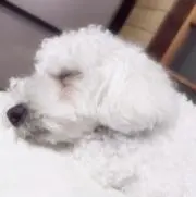 yu-の画像