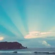 tororiの画像
