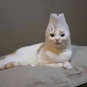 ナベシ