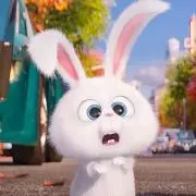 SAの画像