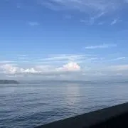 T.K.の画像