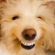 ヒコ