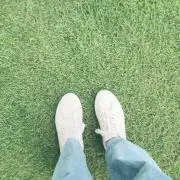 Mochimomoの画像