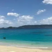 h04の画像
