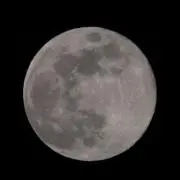 ナリックの画像