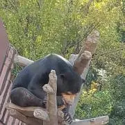 わっせぃ