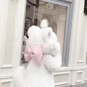 N★(購入意思のない♡お断り)の画像