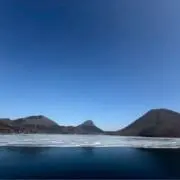 Yuの画像