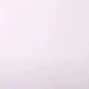 りる