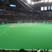 ミチミチの画像