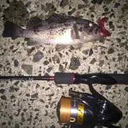 野球＆釣り人