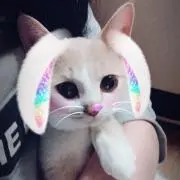 りん