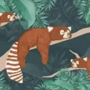 はむすけの画像